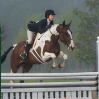 15155349536_45120f3721_o_900_507_s_c1 Aiken is an equestrian